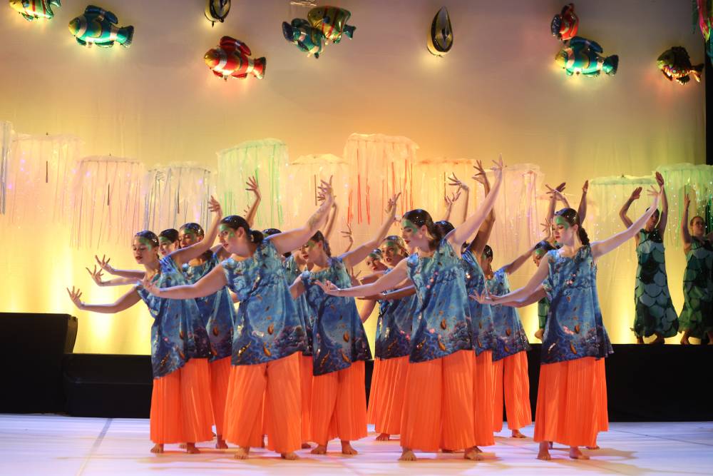 12_15 x 23 cm__181118__24ESC26-220