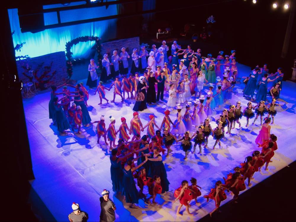 Spectacle 2026 - Les Malheurs de Sophie